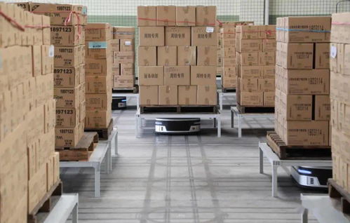 十問曠視印奇 AI公司步入深水區(qū)，友商其實不是友商，裝卸搬運的現(xiàn)實與挑戰(zhàn)